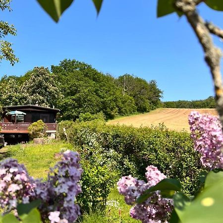 Vila Ferienhaus Zittertal Neustadt Harz Haus I Harztor Exteriér fotografie