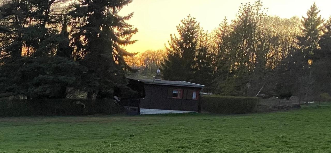 Vila Ferienhaus Zittertal Neustadt Harz Haus I Harztor Exteriér fotografie