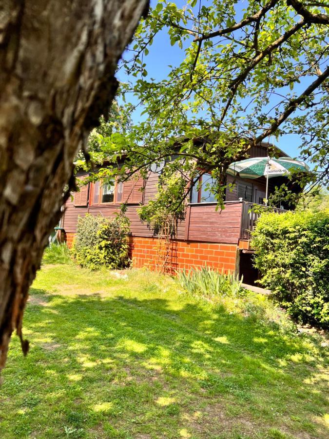 Vila Ferienhaus Zittertal Neustadt Harz Haus I Harztor Exteriér fotografie