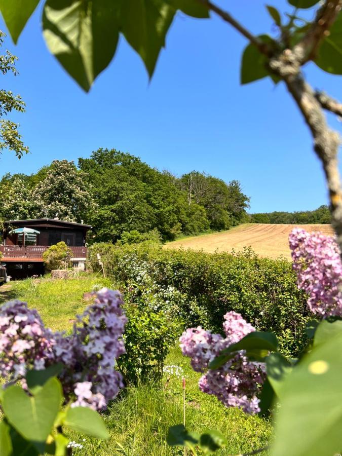 Vila Ferienhaus Zittertal Neustadt Harz Haus I Harztor Exteriér fotografie